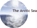 The Arctic Sea