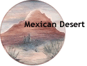 Mexican Desert